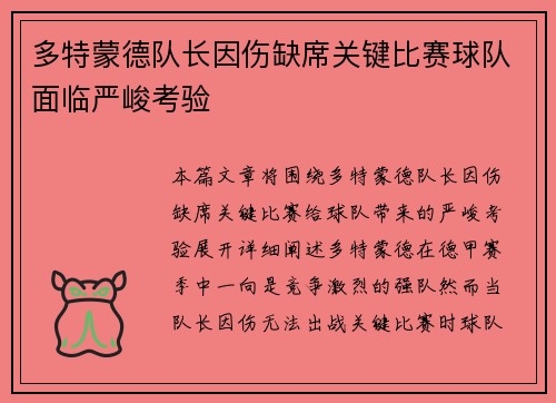 多特蒙德队长因伤缺席关键比赛球队面临严峻考验